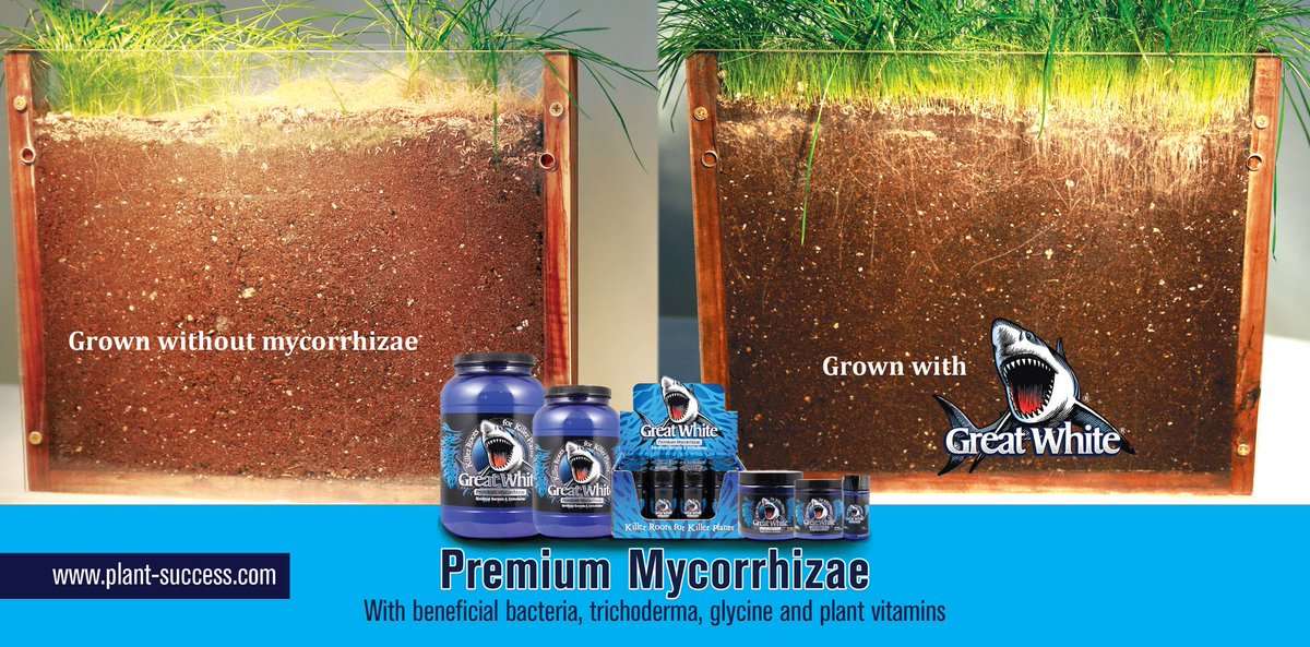 Great white premium. Plant success great White. Great White Premium Mycorrhizae 28,3. Микориза White Shark.